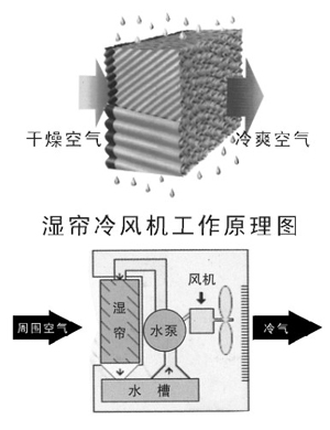 cpzs_19_1.jpg