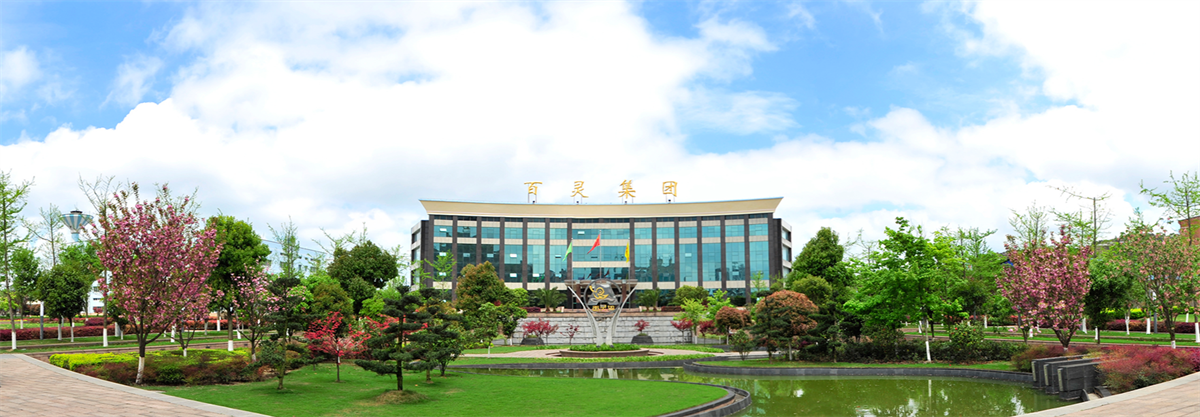 貴州百靈集團 - 副本.png
